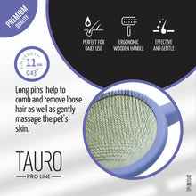 Load image into Gallery viewer, Ergonomic Non-Slip Wooden Detangling Brush for Dogs &amp; Cats: Mint
