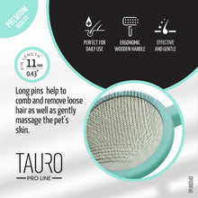 Load image into Gallery viewer, Ergonomic Non-Slip Wooden Detangling Brush for Dogs &amp; Cats: Mint
