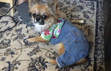 Load image into Gallery viewer, Denim Overalls
