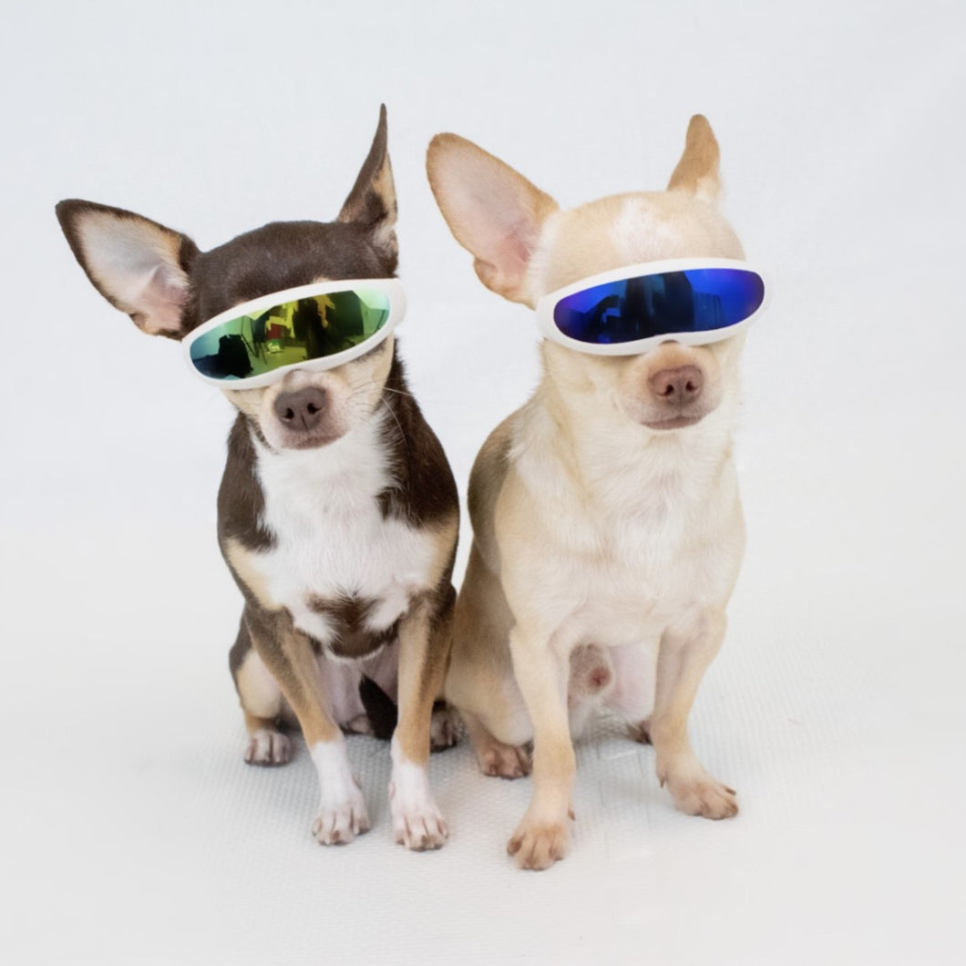 Sun Goggles-Small Dogs