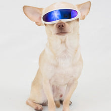 Load image into Gallery viewer, Sun Goggles-Small Dogs
