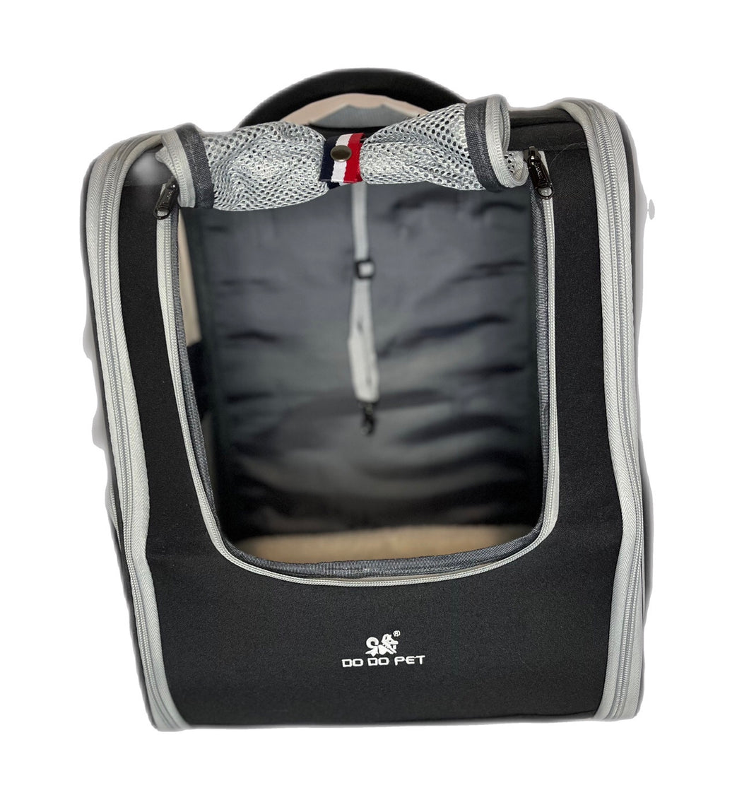 Black Backpack
